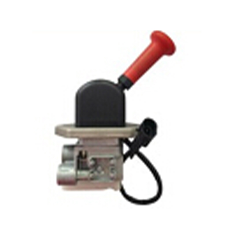 Manus Imperium Valvae cum 24V Electronic Switch